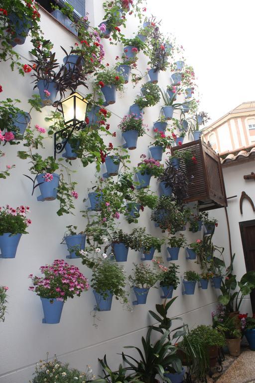 La Posada Del Infante ลา ปัวบลา เด ลอส อินฟานเตส ภายนอก รูปภาพ
